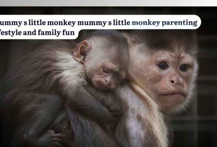 mummy s little monkey mummy s little monkey parenting lifestyle and family fun